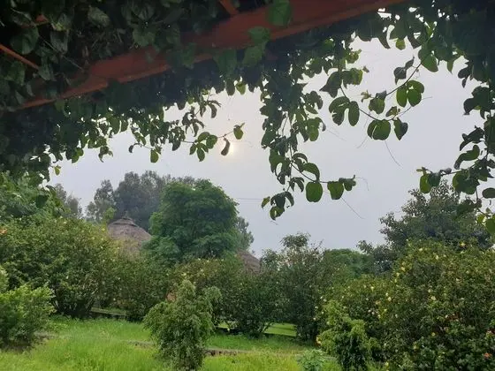 Royal Süit, Birden Çok Yatak, Balkon, Bahçe Manzaralı