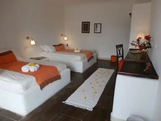 Standard Tek Kişilik Oda, 2 Büyük (Queen) Boy Yatak, Engellilere Uygun, Bahçe Manzaralı