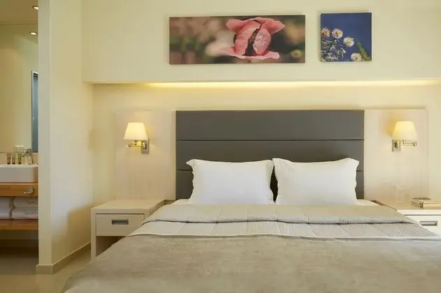 Superior Tek Büyük veya İki Ayrı Yataklı Oda, Bahçe Manzaralı
