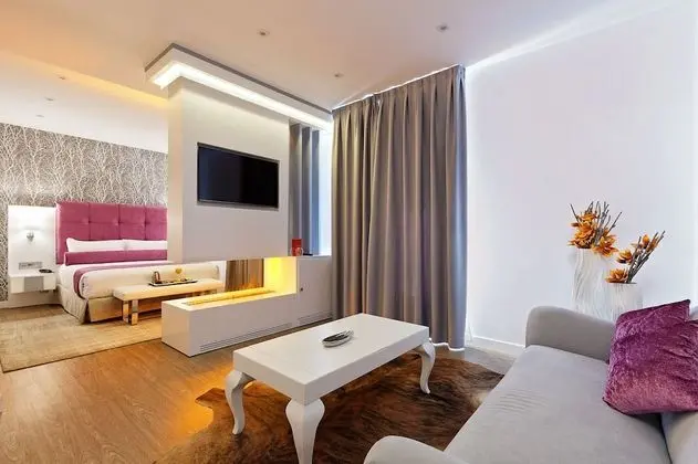 Premium Büyük Yataklı Tek Kişilik Oda (Temática)