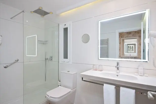 Premium Büyük Yataklı Tek Kişilik Oda (Temática)