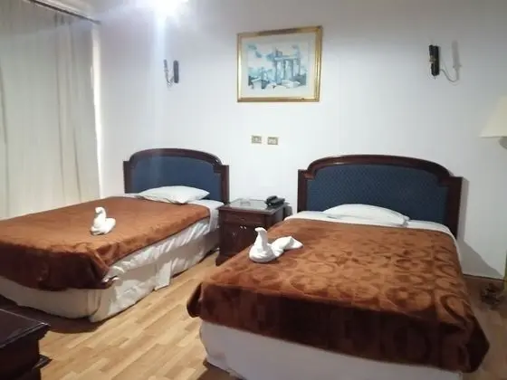 Tek Büyük veya İki Ayrı Yataklı Oda (Double or Twin Room)