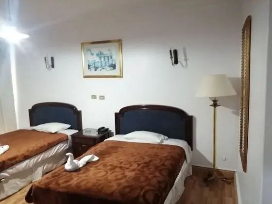 Tek Büyük veya İki Ayrı Yataklı Oda (Double or Twin Room)