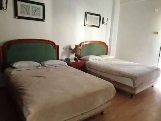 Tek Büyük veya İki Ayrı Yataklı Oda (Double or Twin Room)