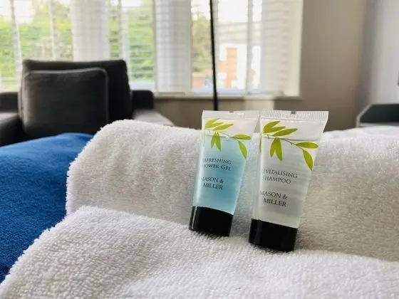Luxury Ev, Banyolu/Duşlu