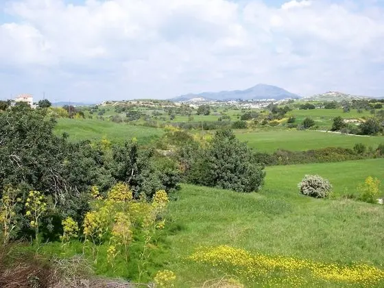 Çatı Katı Süiti (Penthouse)