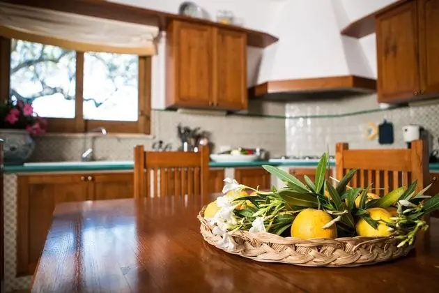 Basic Villa