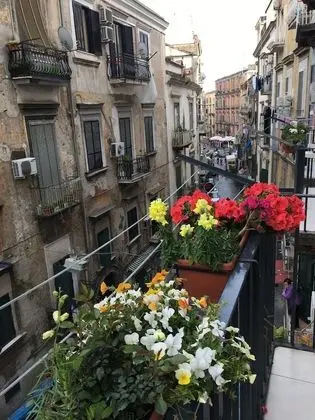 Deluxe Dört Kişilik Oda