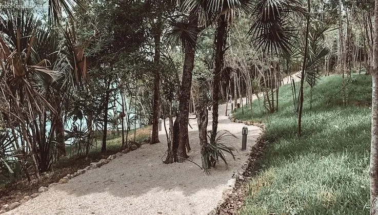 Süit (Jungle View)