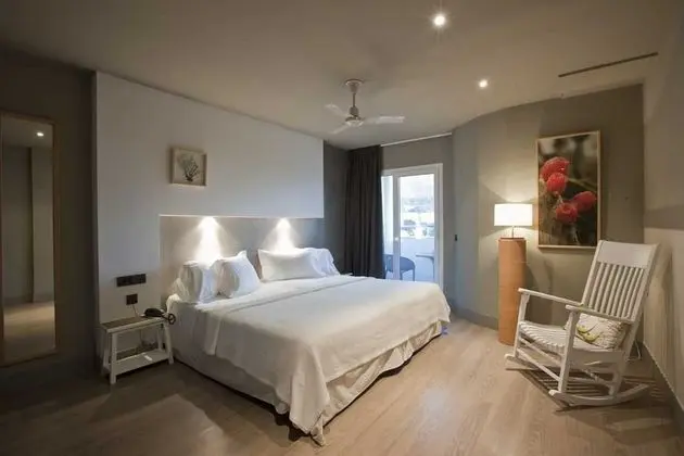 Superior Tek Büyük Yataklı Oda