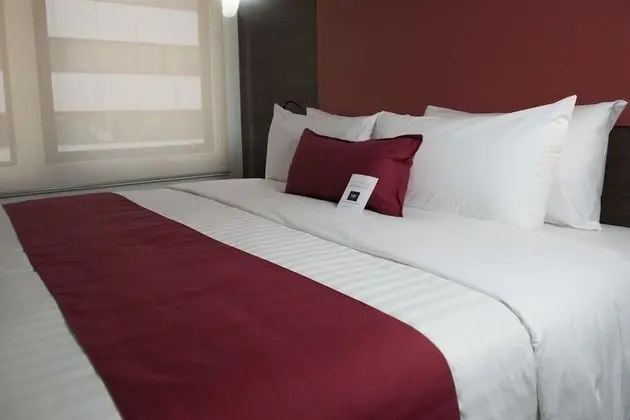 Suite, 1 King Bed