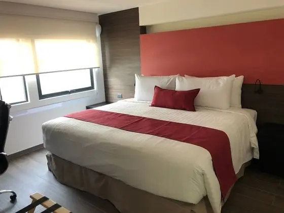 Suite 1 King Bed with Kitchenette