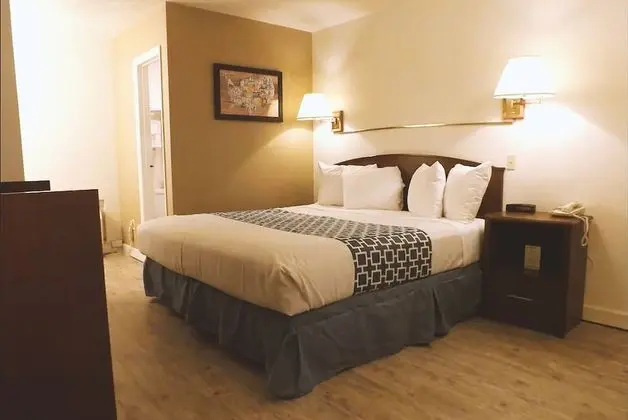 Oda, 1 En Büyük (King) Boy Yatak, Engellilere Uygun, Sigara İçilmez