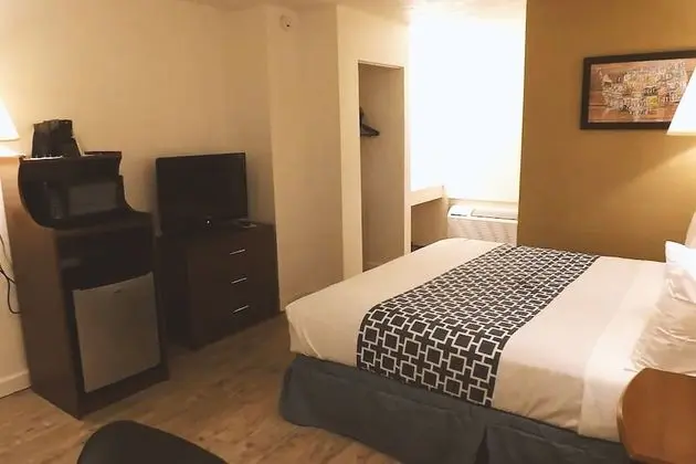 Oda, 1 En Büyük (King) Boy Yatak, Sigara İçilmez, Havuz Kullanımı