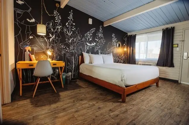 Design Oda, 1 En Büyük (King) Boy Yatak, Küçük Mutfak
