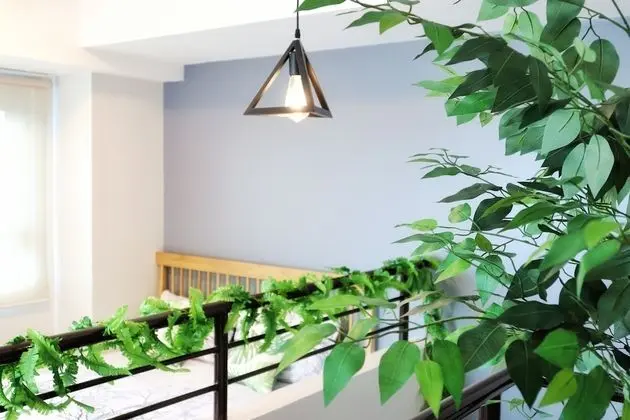Çatı Katı (Loft) (B11)