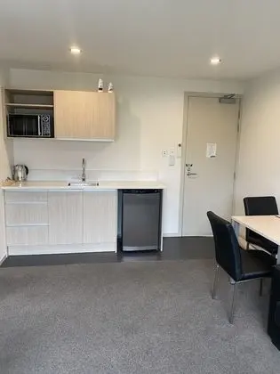 Executive Oda, 1 Yatak Odası, Buzdolabı ve Mikrodalga (First Floor)