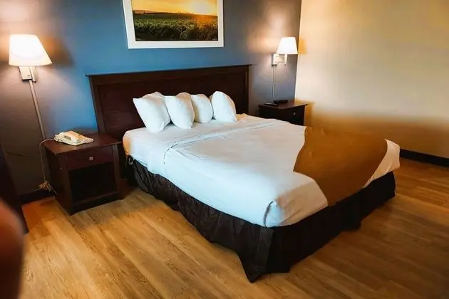 Oda, 1 Büyük (Queen) Boy Yatak, Engellilere Uygun