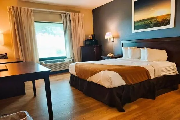 Oda, 1 Büyük (Queen) Boy Yatak, Engellilere Uygun