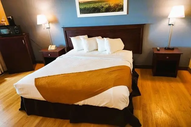 Oda, 1 Büyük (Queen) Boy Yatak, Engellilere Uygun