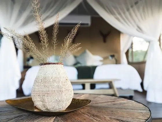 Luxury Çadır