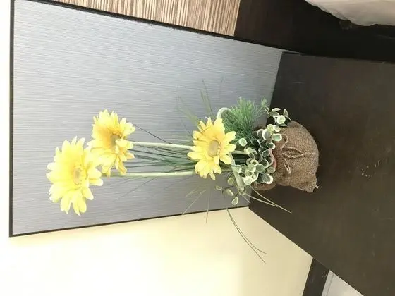 Deluxe Tek Büyük Yataklı Oda, Balkon