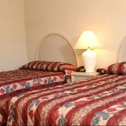 Luxury Oda, 2 Büyük (Queen) Boy Yatak, Engellilere Uygun