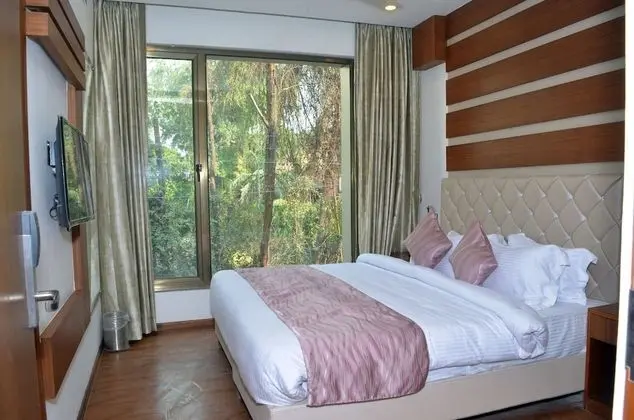 Deluxe Tek Büyük Yataklı Oda, Sigara İçilmez, Park Manzaralı