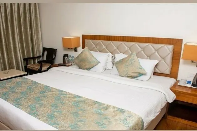 Deluxe Tek Büyük Yataklı Oda, Sigara İçilmez, Park Manzaralı