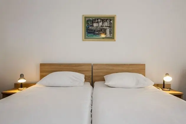 Standard Tek Büyük veya İki Ayrı Yataklı Oda, Balkon, Park Manzaralı