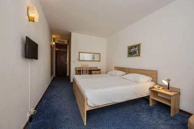 Standard Tek Büyük veya İki Ayrı Yataklı Oda, Balkon, Park Manzaralı