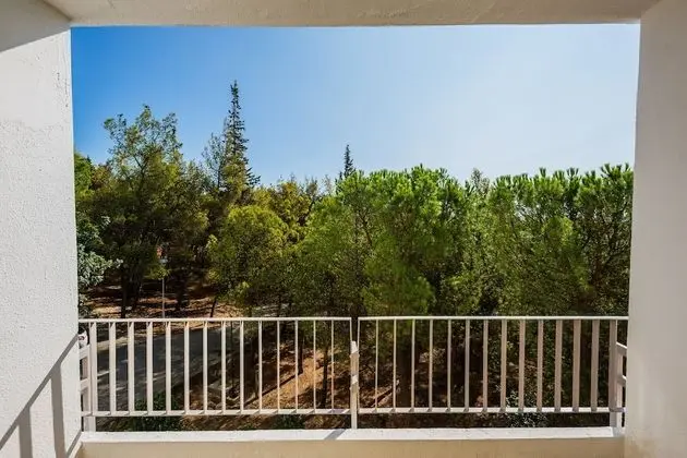 Standard Tek Büyük veya İki Ayrı Yataklı Oda, Balkon, Park Manzaralı