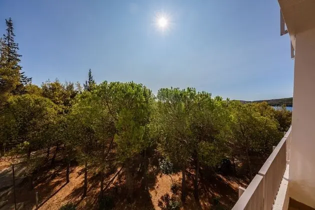 Standard Tek Büyük veya İki Ayrı Yataklı Oda, Balkon, Park Manzaralı