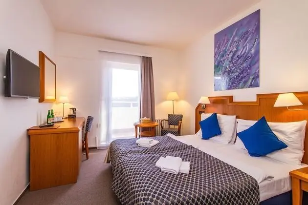 Superior Tek Büyük veya İki Ayrı Yataklı Oda