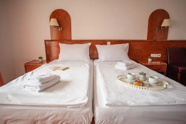 Tek Büyük veya İki Ayrı Yataklı Oda, Balkon, Park Manzaralı