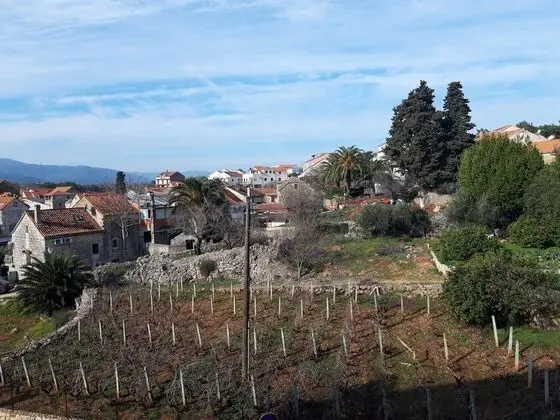 Deluxe Tek Büyük Yataklı Oda, Balkon