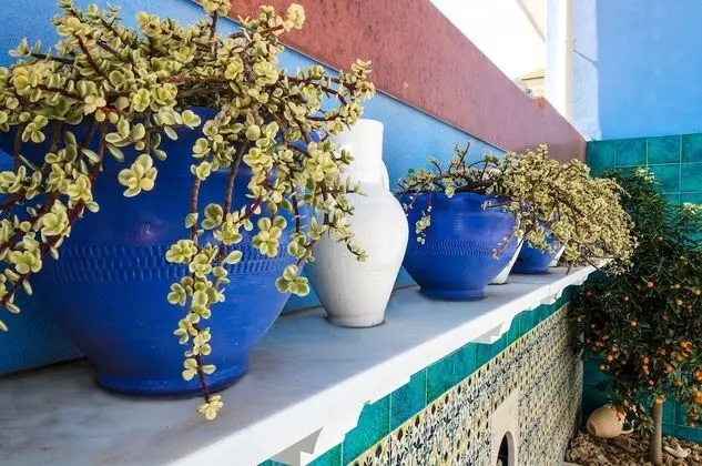 Deluxe Oda (Tunisina)