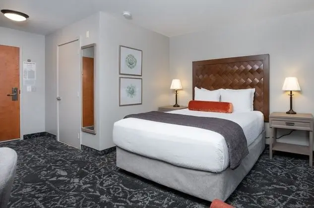 Queen Guestroom