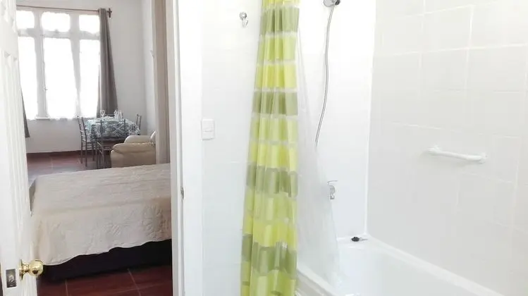 Standard Çatı Katı (Loft) (Loft 1)