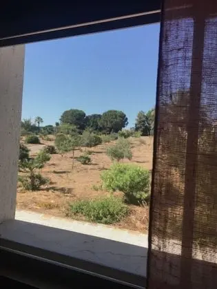 Apart Daire, Bahçe Manzaralı (Pupa)