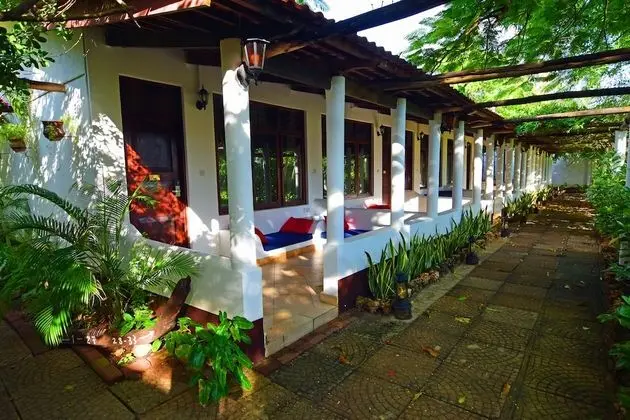 Luxury Stüdyo Süit