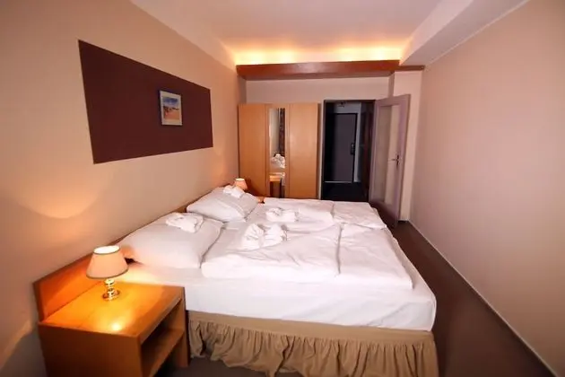 Tek Büyük veya İki Ayrı Yataklı Oda, Balkon, Park Manzaralı