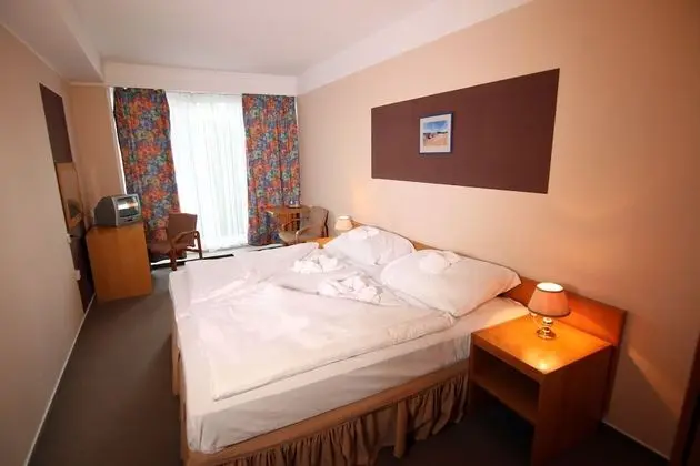 Tek Büyük veya İki Ayrı Yataklı Oda, Balkon, Park Manzaralı