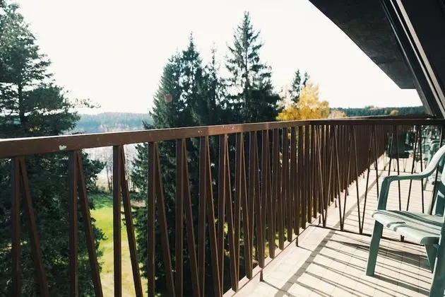 Tek Büyük veya İki Ayrı Yataklı Oda, Balkon, Park Manzaralı