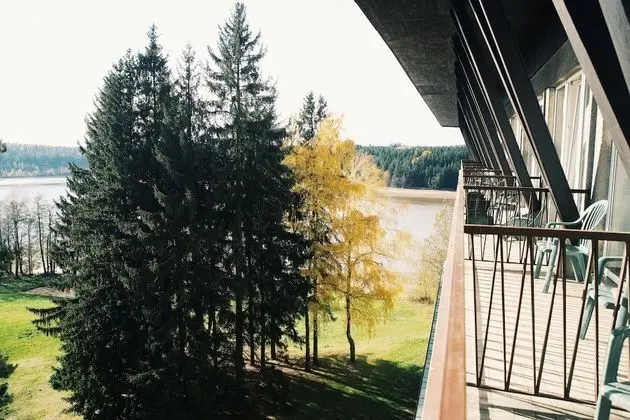 Tek Büyük veya İki Ayrı Yataklı Oda, Balkon, Park Manzaralı