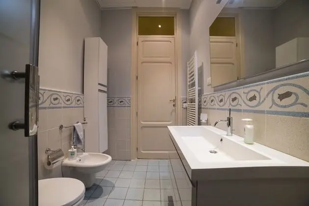 Tek Büyük Yataklı Oda, Özel Banyo (External)