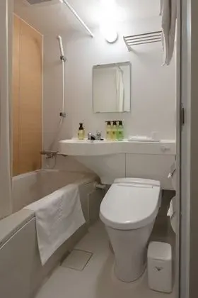 Tek Büyük Yataklı Oda (Smart)