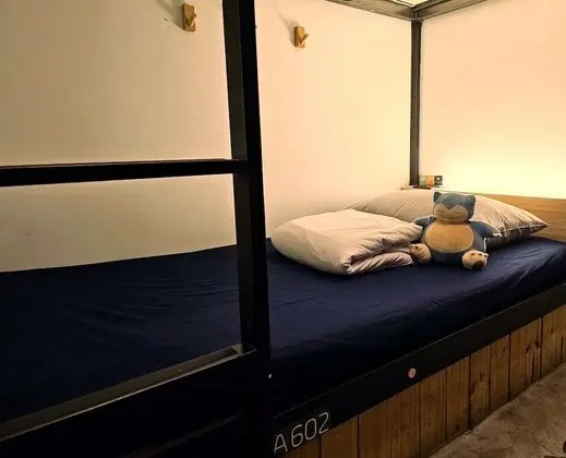 Standard Ortak Ranzalı Oda, Sadece kadınlar için (4 people)