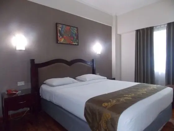 Superior Tek Büyük Yataklı Oda