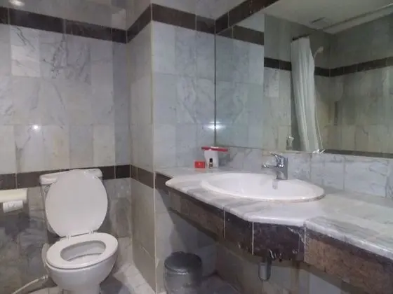 Superior Tek Büyük Yataklı Oda